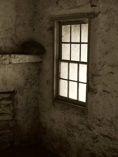 Window in Sepia Interior view out the window of an 1800's brick house in sepia. mickey mantle stock pictures, royalty-free photos & images