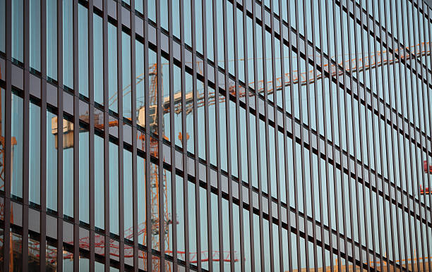 Reflecting Crane stock photo