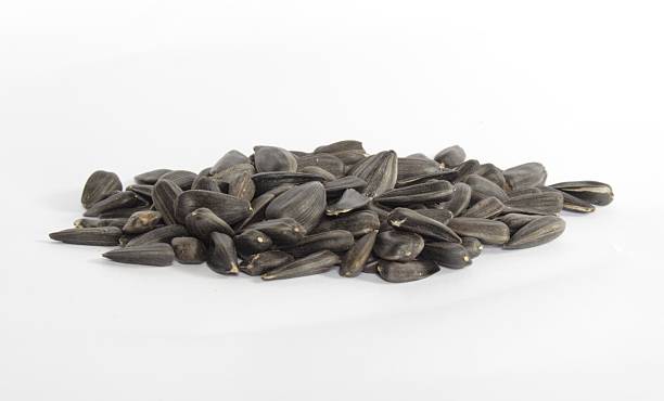 istock Seed of sunflower 179292595