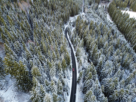 snow covered pine tree with street from the air