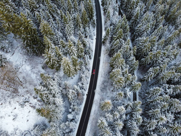 istock snow covered trees with street from above 1792929446