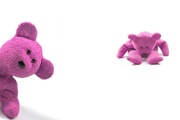 Two bears looking naughty against a white background