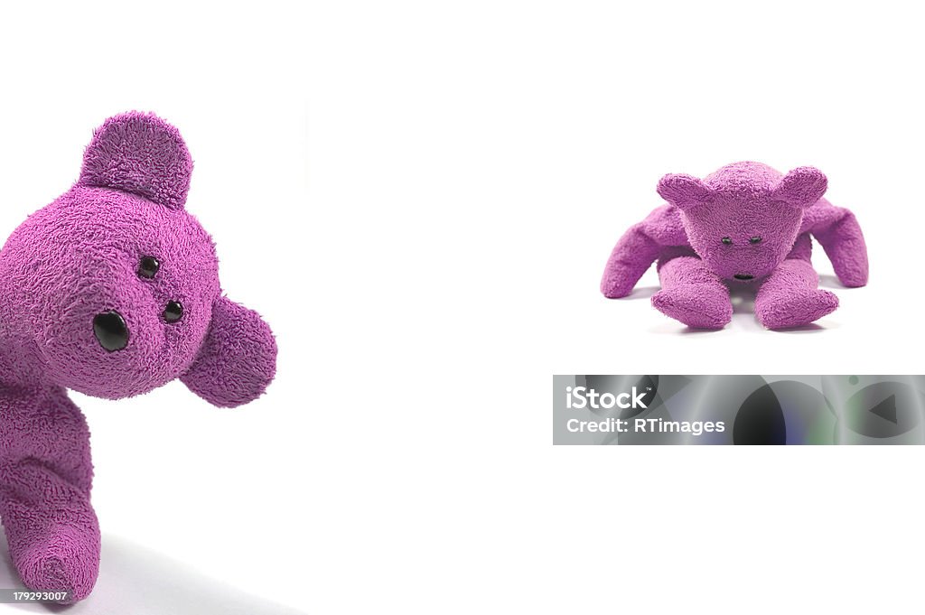 Naughty girl bears Two bears looking naughty against a white background Teddy Bear Stock Photo