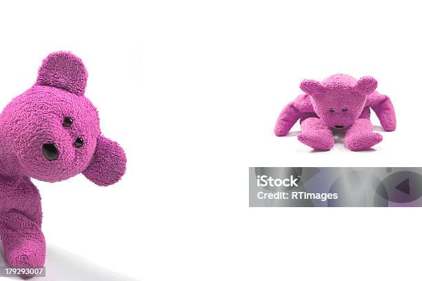 Naughty Girl Bears Stock Photo - Download Image Now - Teddy Bear, White Background, Concepts