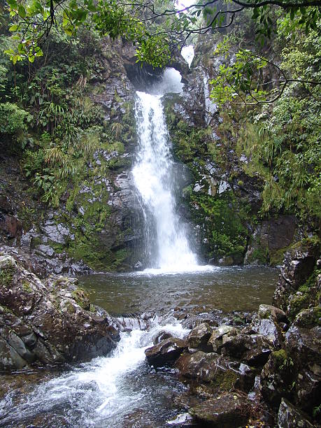 Paradise Style Waterfall stock photo