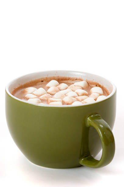 istock Mug of Hot Cocoa 179293178