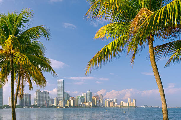 istock miami florida bayfront skyline on sunny afternoon 179293782