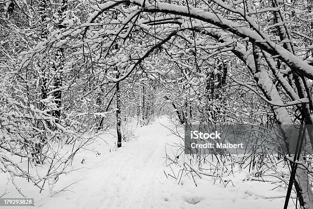 Winterlandschaft Stockfoto und mehr Bilder von Abstrakt - Abstrakt, Baum, Bedecken