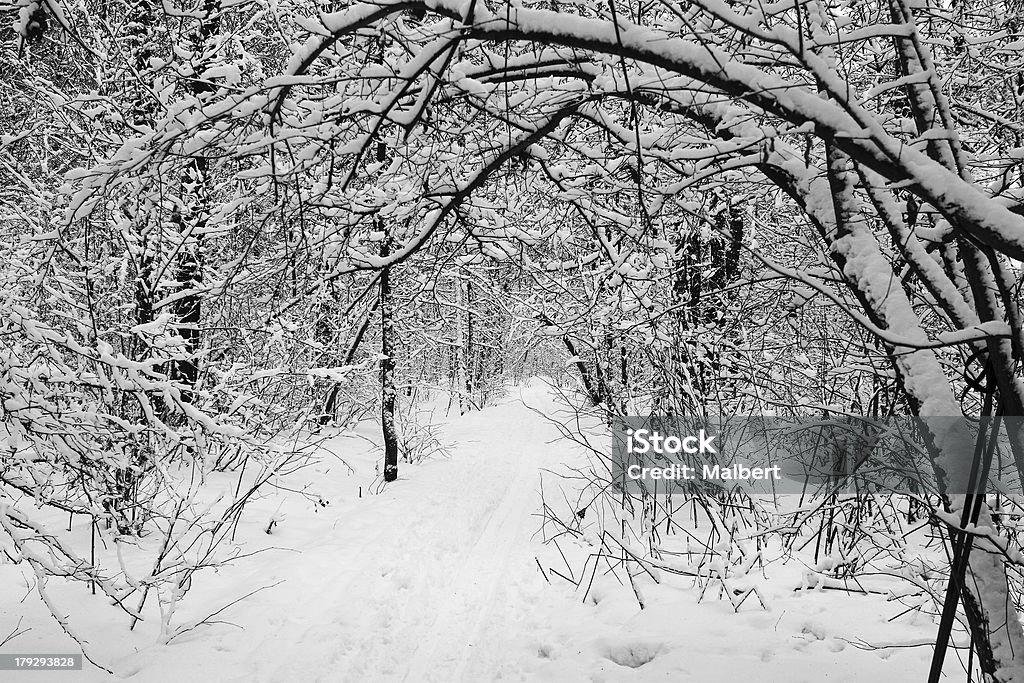 Зимний пейзаж - Стоковые фото Абстрактный роялти-фри