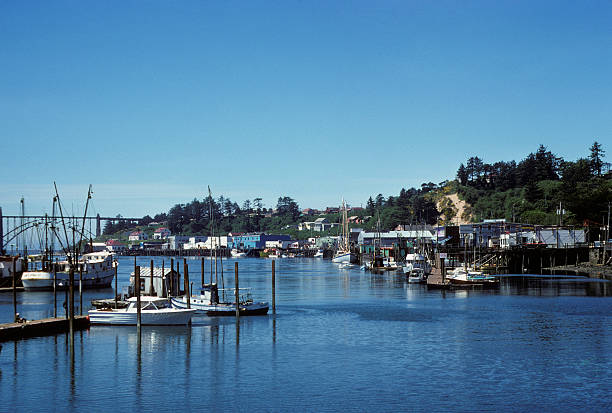 coastal town and bay, Pacific Northwest, circa 1975 Pacific Northwest bay with various ships docked at wharves. hearkencreative stock pictures, royalty-free photos & images