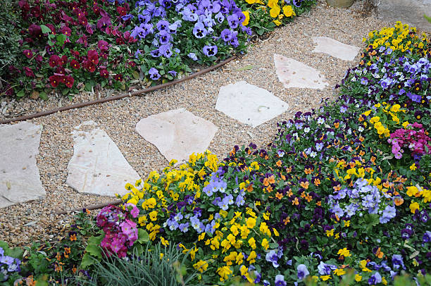 jardim botânico - stone walkway imagens e fotografias de stock