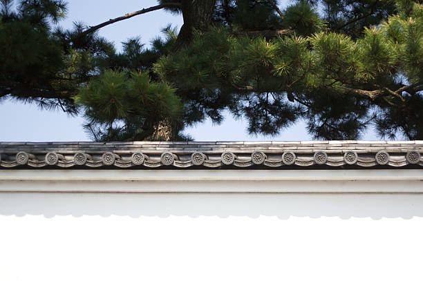 Japanese imperial castle and pine trees.