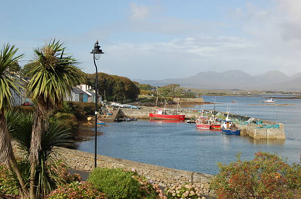 The harbor of Roundstone Connemara stock photo