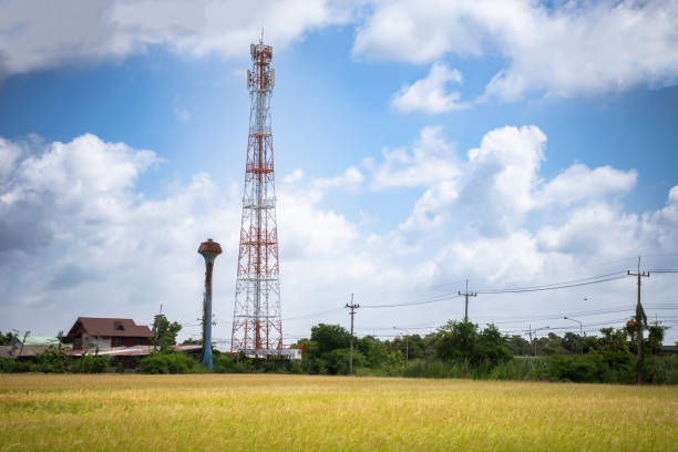 istock 5G telecommunication towers, wireless antenna connection system of rural communication system with rice fields and clear sky 1792952358