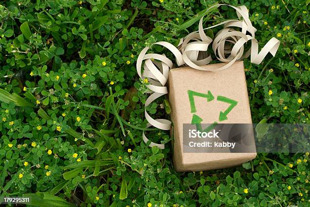 Sustainable Environmental Gift Stock Photo - Download Image Now - Environmental Conservation, Gift, Christmas