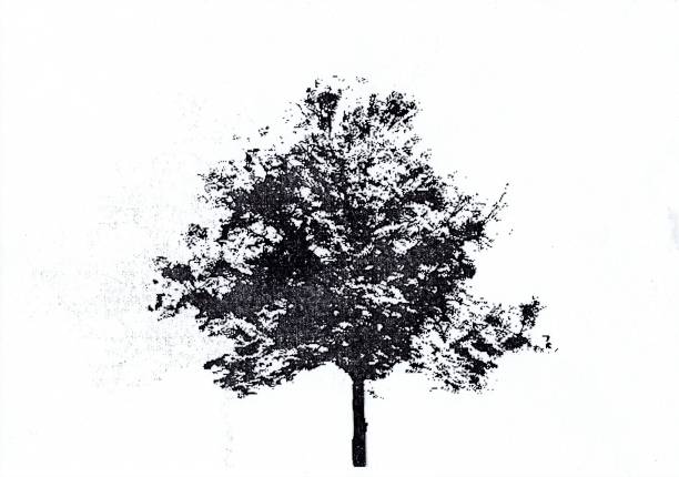 Tree a black trunk, branches, stems, and leaves. There are Noise throughout the entire image.  Illustrator of abstract background.