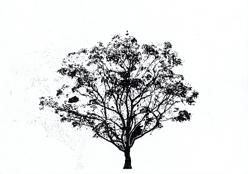 Tree a black trunk, branches, stems, and leaves. There are Noise throughout the entire image.  Illustrator of abstract background.