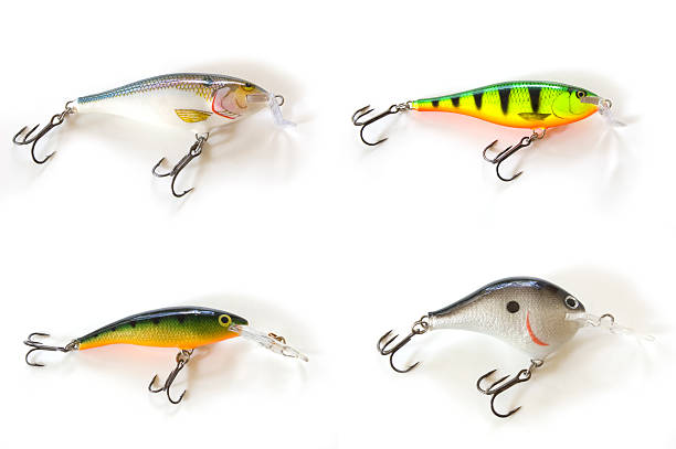 istock four kinds of lures 179295660