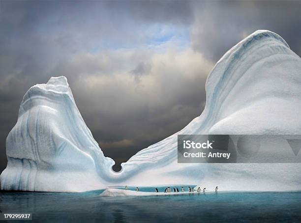 Photo libre de droit de Piscine À Iceberg banque d'images et plus d'images libres de droit de Antarctique - Antarctique, Manchot, Iceberg - Bloc de glace