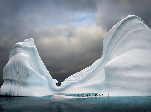 iceberg with penguins looks like swimming pool