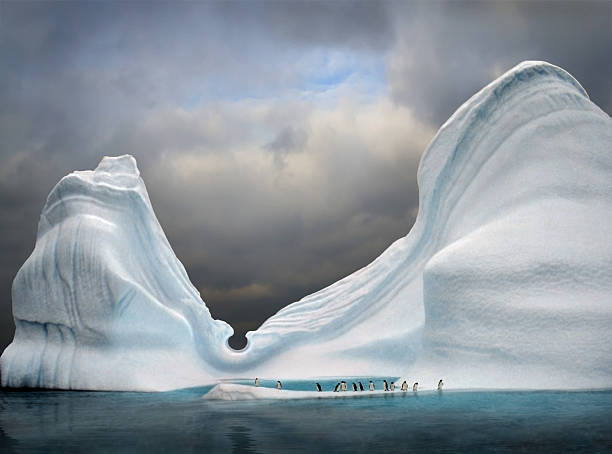 swimming pool in iceberg iceberg with penguins looks like swimming pool antarctica penguin bird animal stock pictures, royalty-free photos & images