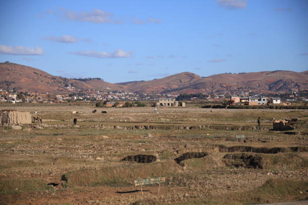 istock madagascar landlife 1792963616