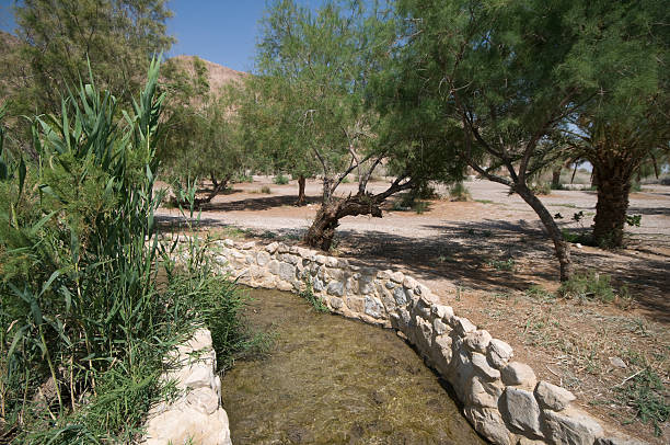 istock Oasis at Einot Tzukim National Park, Israel 179296419