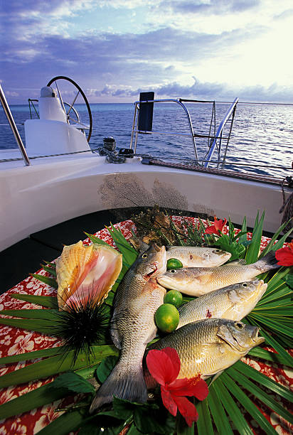 istock captured fish in a tropical sea on board 179297151