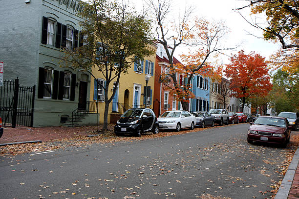 alberi in autunno su strada di washington - washington street foto e immagini stock