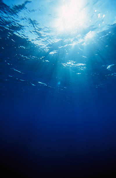istock Swimming in the deep blue sea watching the sun rays 179297287