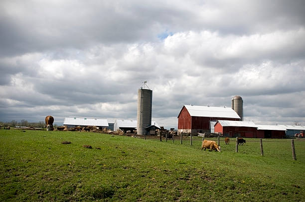istock Farm and Storm Coming 179297397