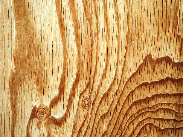 Wood Background stock photo