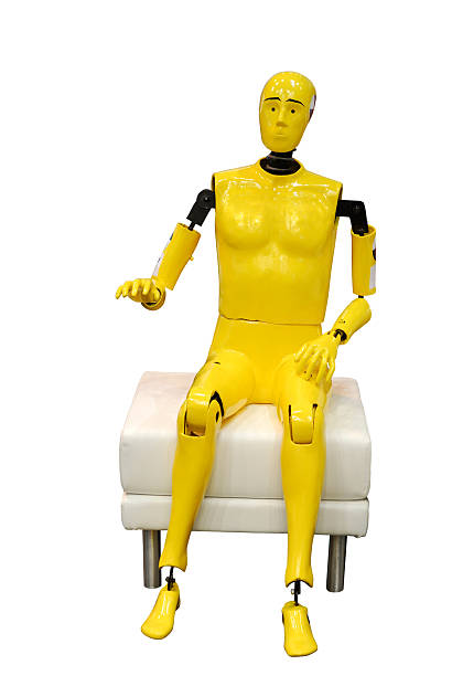 Crash test dummy portrait of yellow crash test dummy sitting, isolated on white crash test dummy stock pictures, royalty-free photos & images