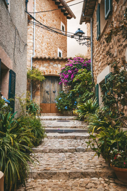 acogedora calle estrecha con muchas plantas en macetas en un pequeño pueblo de fornalutx en mallorca - fornalutx majorca spain village fotografías e imágenes de stock