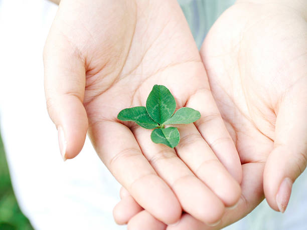 istock Four leaves of happiness 179298976