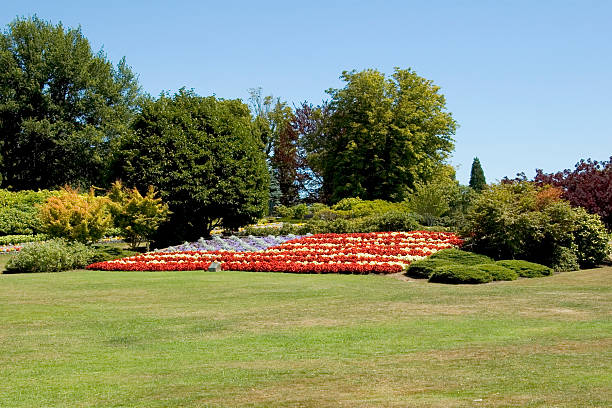 USA Flower Flag the USA Flag in Flowers at the Canadian-American border crossing in British Columbia american flag flowers stock pictures, royalty-free photos & images