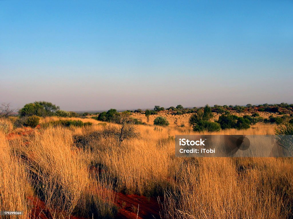 Outback herbe Plain - Photo de Arbre libre de droits