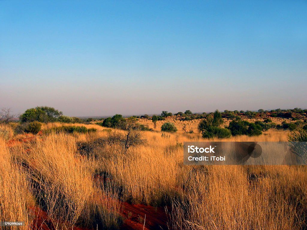 Outback Grass Plain Dry desert grass just before a long drought in a remote part of Outback Australia.  Smoke haze from a large bush fire on the horizon. Australia Stock Photo