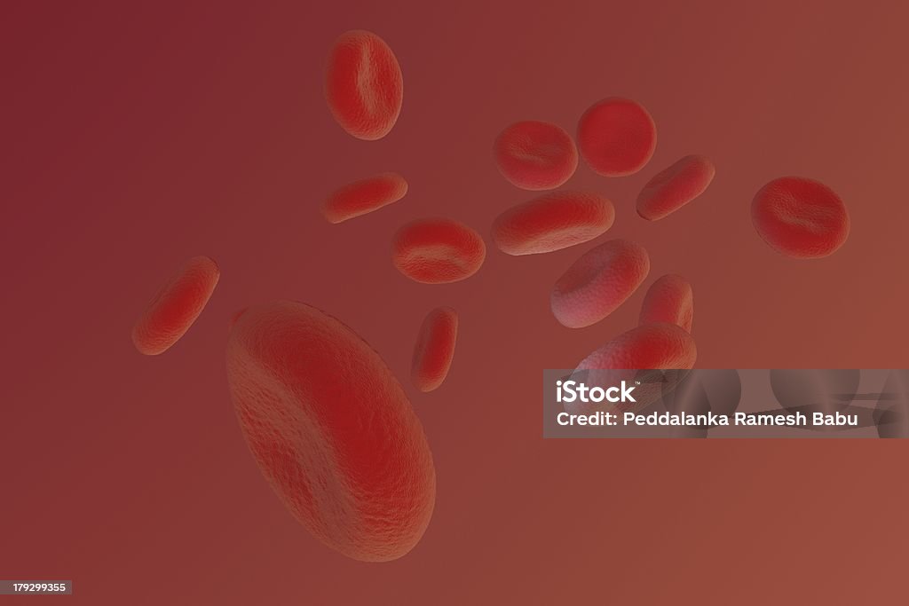 血液細胞 - ヒトの内臓のロイヤリティフリーストックフォト