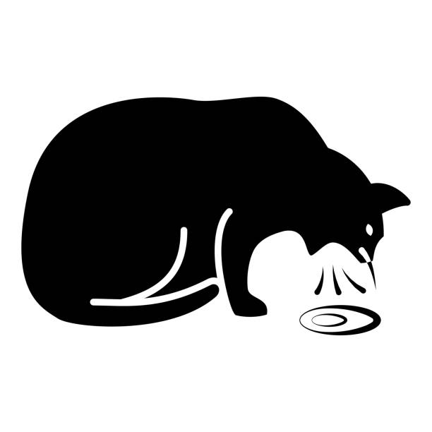 illustrations, cliparts, dessins animés et icônes de helminthiase dans l’icône solide du chat, les maladies du concept d’animaux de compagnie, le signe du chat vomi sur fond blanc, l’icône de chaton malade dans le design web de concept mobile de style glyphe. graphiques vectoriels. - domestic cat illness humor vomit
