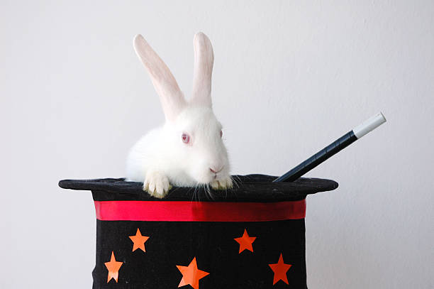 Rabbit On Magicians Hat Rabbit On Magicians Hat With Magicians Wand magic show stock pictures, royalty-free photos & images