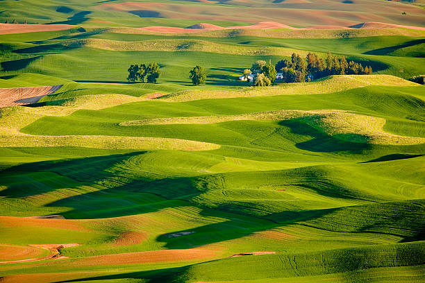 Palouse Hills Farmhouse stock photo