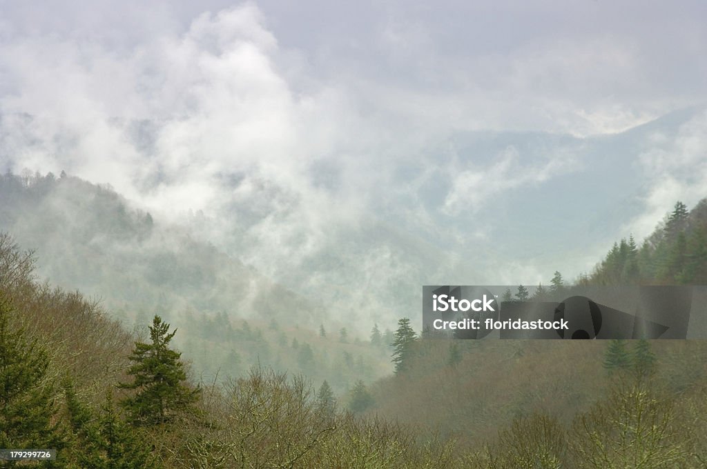 okanaluftee Долина с туман и паров в дымчатой Горы - Стоковые фото Культура чероки роялти-фри