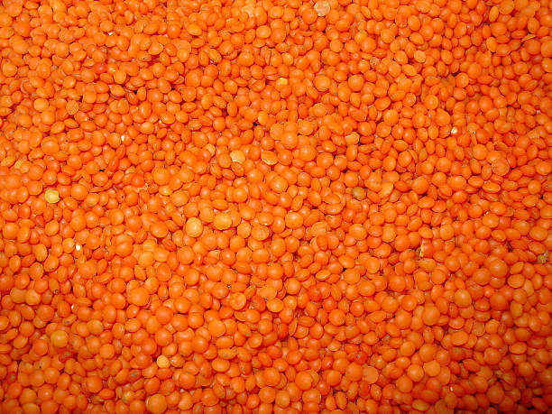 lentil background stock photo