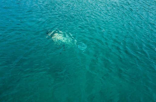 A man wades for breath, deep under water. Good for background. Adriatic coast archipelago, Croatia, Europe. fool frame