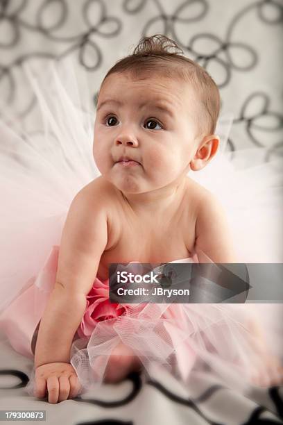 Baby In A Tutu Stock Photo - Download Image Now - 6-11 Months, Babies Only, Baby - Human Age