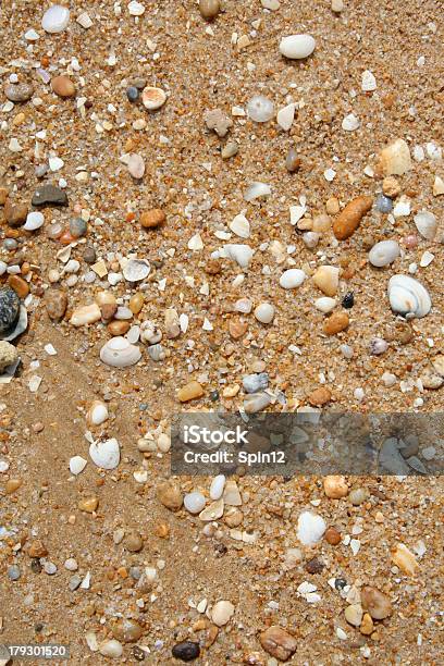 Foto de Conchas E Areia e mais fotos de stock de Abstrato - Abstrato, Animal selvagem, Antigo