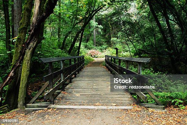 Bennet Hölzernen Fußgängerbrücke Stockfoto und mehr Bilder von Kalifornien - Kalifornien, Santa Cruz - Kalifornien, Ansicht aus erhöhter Perspektive