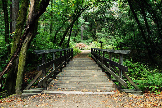 istock bennet wooden footbridge 179301781