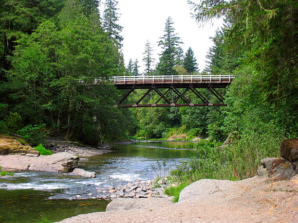istock Wooden Bridge Over Creek 179301792